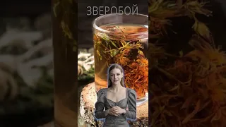 ЗВЕРОБОЙ / Польза и Вред