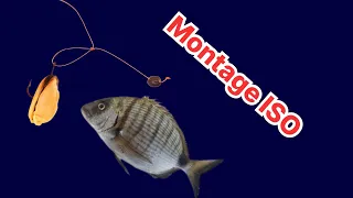 ISO Fishing 👉 Montage hameçon et plomb 🦐