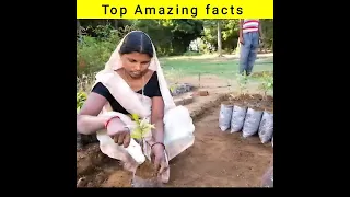 India Plants 50 Million Trees in One Day | top amazing facts #shorts #facts #short