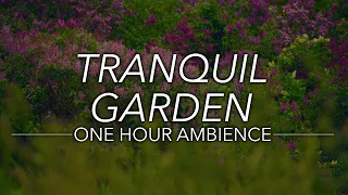 🎧 Tranquil Garden | Peaceful Summer Garden | One Hour Ambience