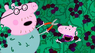 💗 Peppa Pig Loves Blackberry 💗