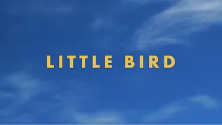 Jonas Brothers - Little Bird (Official Lyric Video)