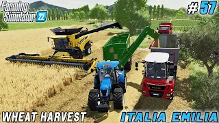 Making Money & Investing, Wheat & Sorghum Harvesting | Italian Farm | Farming simulator 22 | ep #57