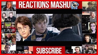 FANTASTIC BEASTS AND WHERE TO FIND THEM Final Trailer (Reaction) Reactions Mashup