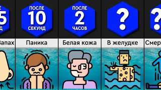 Что, Если Тебя Проглотил Кит?