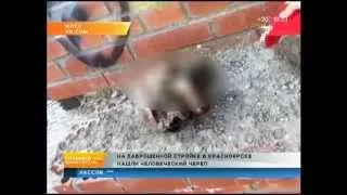 На одной из строек города нашли череп | 7 канал Красноярск