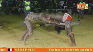 Victoire de Ref 2 sur Grenade - Journée Fallou Ndiaye Production à Refane