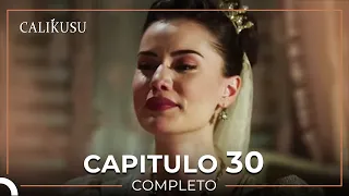 Calikusu 30 Capítulo