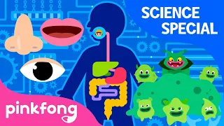 Permainan Rumah Sakit dan banyak lagi | +Kompilasi | Lagu Sains Spesial | Lagu Pinkfong untuk Anak