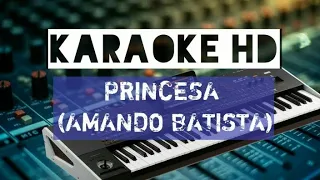 Karaoke Princesa(Amado Batista)Musik festa