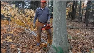 Girdling and Felling Cull Trees