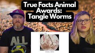 True Facts Animal Awards: Tangle Worms @zefrank | HatGuy & @gnarlynikki React