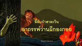 ๑๒๒.อาถรรพ์ว่านผีกองกอย ลี้ลับป่าสาละวิน