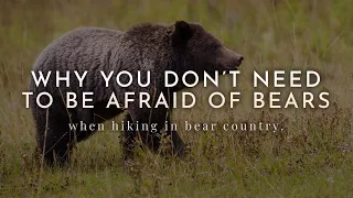 How to Hike in Bear Country - Do's and Don'ts Around Bears