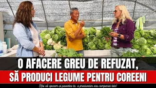 O afacere greu de refuzat, să produci legume pentru coreeni