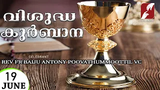 HOLY MASS LIVE @ 6 AM, 19 JUNE 2023| FR BAIJU POOVATHUMMOOTTIL VC | MALAYALAM QURBANA| TODAY MASS