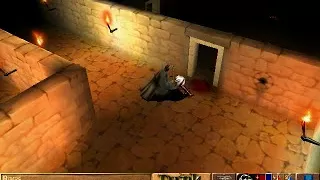 Dark-stone. (1999) -  Computer game