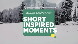 DJI Mini 2 Cinematic 4k Footage | Winter Wonderland Ep. 4