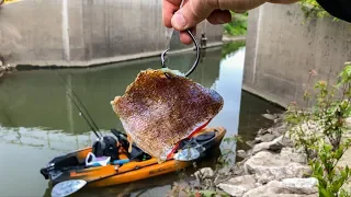 I Thought I Was SNAGGED!!! (Kayak Fishing a Creek Spillway!) - Old Town Sportsman 106 Powered By MK