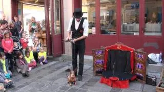 Festival mondial des théatres de marionnettes  (CAMELO)