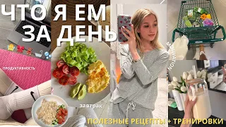 ЧТО Я ЕМ ЗА ДЕНЬ?🥬🧚🏻 | МОЕ ПИТАНИЕ И ПОЛЕЗНЫЕ РЕЦЕПТЫ + ТРЕНИРОВКИ, what I eat in a day