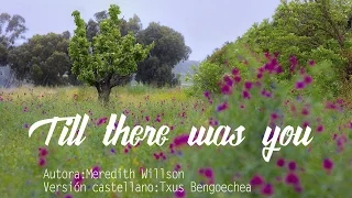 Till there was you. Versión castellano. The Beatles. Spanish cover. Traducción al español. Karaoke