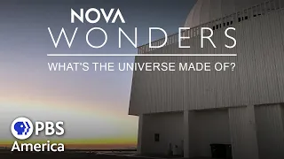 What's the Universe Made Of? FULL EPISODE | NOVA Wonders | PBS America