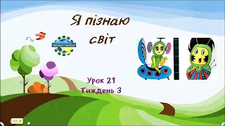 Я пізнаю світ (урок 21 тиждень 3) "Інтелект України"