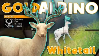 My BIGGEST ALBINO WHITETAIL BUCK in 5 YEARS!!!! - Call of the Wild