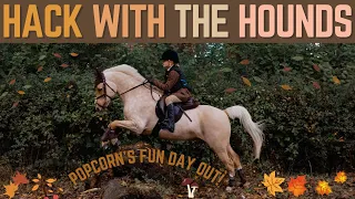 HACK WITH THE HOUNDS! POPCORN'S FUN DAY OUT  *NOT HUNTING*