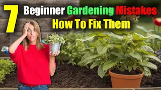 7 Beginner Gardening Mistakes To Avoid And How To Fix Them