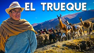 El hombre andino y sus llamas de carga, el trueque ancestral en Sapallanga |DOCUMENTAL