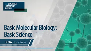 Basic Molecular Biology: Basic Science – RNA Structure