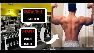 Back workout for beginners in planet fitness