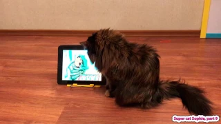 Кошка смотрит мультик про Винни Пуха