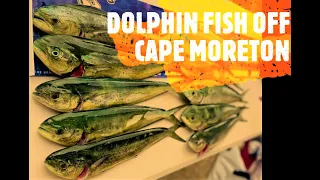 THE EASIEST WAY TO CATCH DOLPHIN FISH (MAHI MAHI) AUSTRALIA DAY DONE RIGHT!!!!