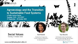 Focus on Social Values: Agroecology and the Transition to Sustainable Food Systems