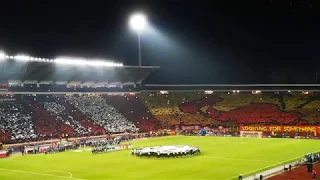 Crvena zvezda-PSZ  Red Star-PSG koreografija,choreo,show