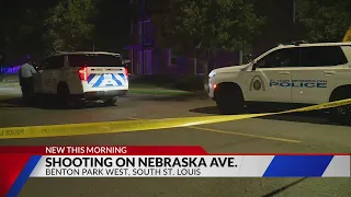 Man shot in south St. Louis