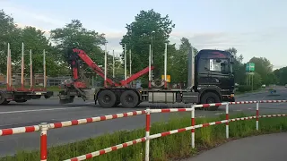 Scania R500 V8 Holztransporte