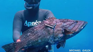 Spearfishing in Malta 2016 Michael Galea