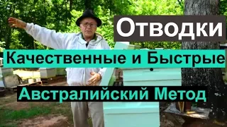 Пасека #79 Отводки Качественные  и Быстрые, Австралийский метод  | Пчеловодство для начинающих