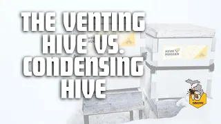 The Venting Hive vs. Condensing Hive: Beekeeping Winter Survival Tactics