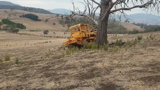 Fiat-Allis 14B pushing a dead tree.