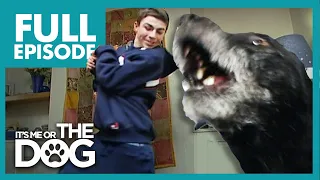 World's Smallest Bodyguard: Rex | Full Episode | It's Me or the Dog