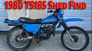 1980 Suzuki TS185 found behind a shed sitting for over 20 years...will it run?