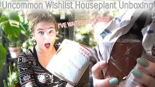 Uncommon WISHLIST Houseplant Unboxing!