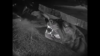 Собака Баскервилей / The Hound of the Baskervilles (США, 1939)