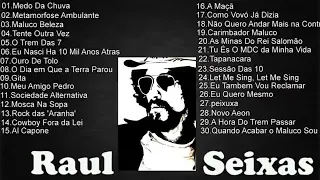 RAUL SEIXAS 《AS 30 +》