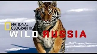 Beauty of Wild Russia Siberia National Geographic 2023 | full Documentary